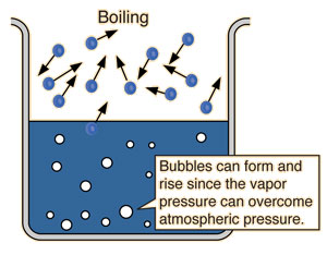 Khả Năng của Humic Substances Trong Việc Kiểm Soát Độ Ẩm của Đất