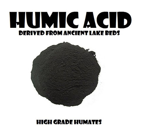 Tìm hiểu về Acid Humic: Định nghĩa, Phân loại và Lợi ích