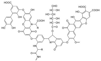 Acid humic và cải thiện cấu trúc hạt đất