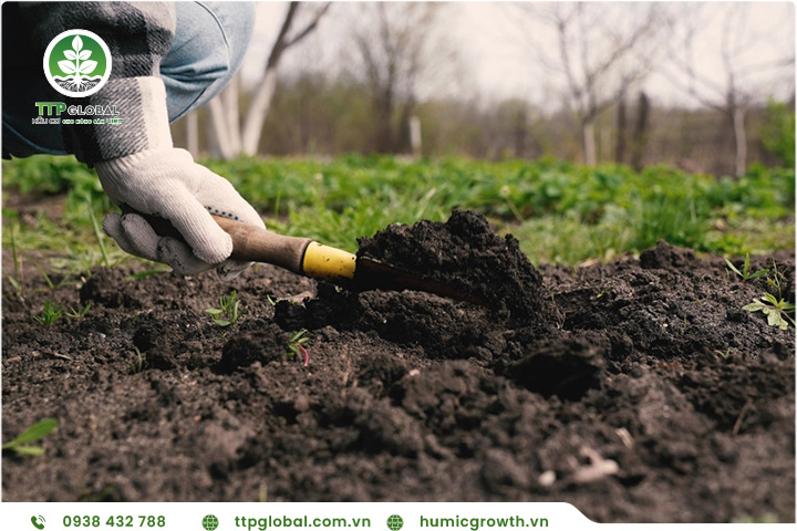 Acid humic và cải thiện độ thoát nước của đất