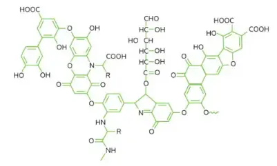 Acid humic và tăng cường khả năng hấp thụ cacbon của đất