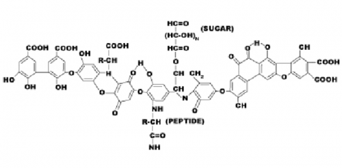 Humic acid: Phân bón hữu cơ hiệu quả cho cây trồng