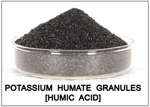 Humic giúp cây hoa kiểng ra hoa đẹp