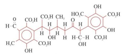 Nghiên cứu mới nhất về humic acid và tác động lên cây trồng