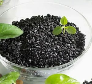 Sử dụng acid humic để giảm stress do tác động môi trường