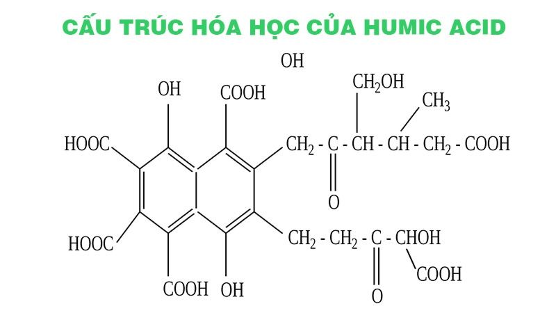 Sử dụng acid humic để giảm thiểu sự ô nhiễm môi trường