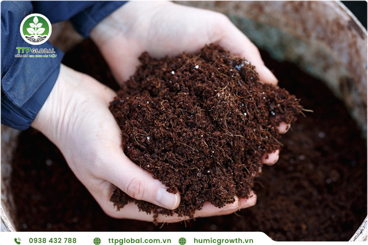 Sử dụng acid humic để phòng trừ sâu bệnh và côn trùng