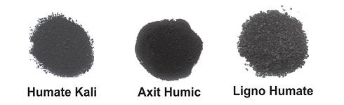 Tối ưu hóa sự phát triển của vi sinh vật có ích trong đất với acid humic